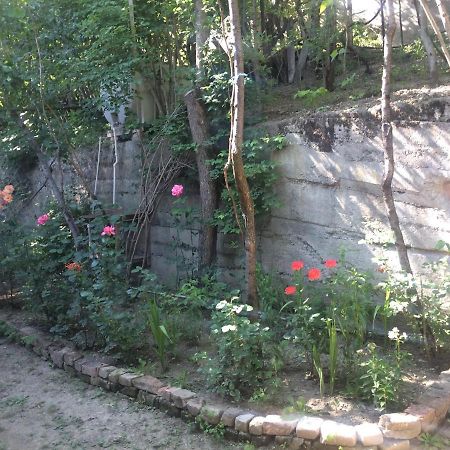 Guesthouse Malkhazi Borjomi Dış mekan fotoğraf